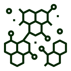 Electrophorèse hémoglobine-protéine 